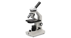 Hobbyist compound Microscope