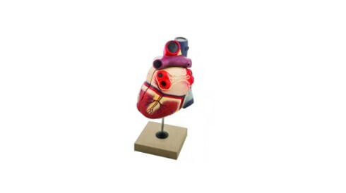 Biology Classroom Products