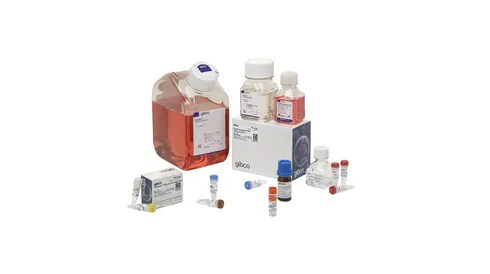 Protein Purification