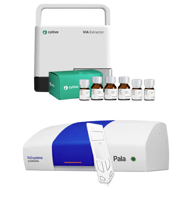 Seamless Single-Cell Workflow Solution