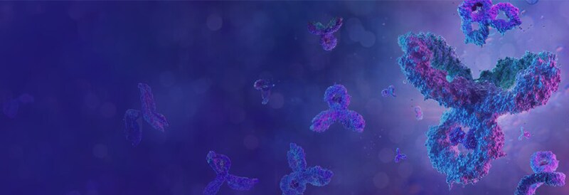 Protein Biology Methods