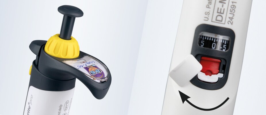 BRAND Transferpettes