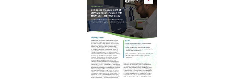 Cell-Based Measurement of ERK1/2 Phosphorylation With THUNDER TR-FRET Assay