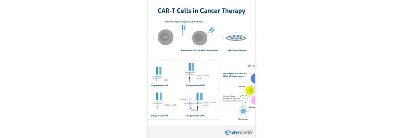 CAR T-Cells in Cancer Therapy