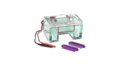 Gel Electrophoresis Equipment and Supplies