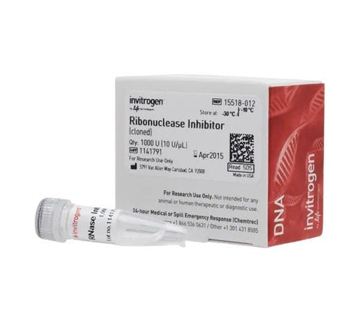 25364_Merch_P2_Product2