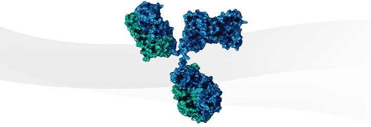 Antibodies and Immunoassays