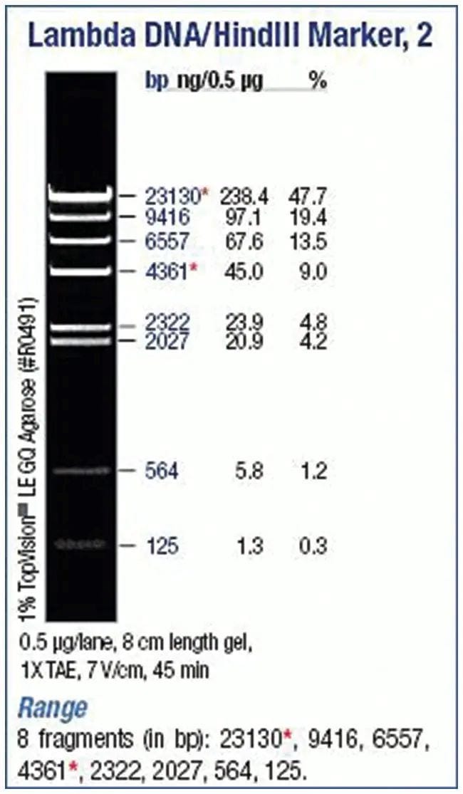 25359_Merch_P2_Product3