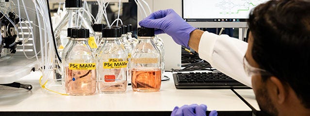 Proteins and Cell Lines