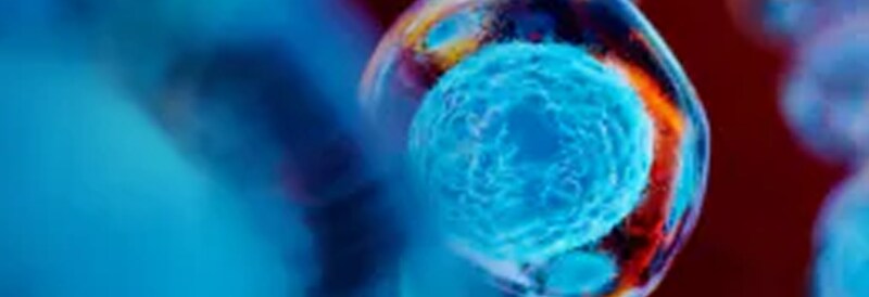 Cell and Gene Therapy Solutions