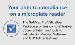 Workflow Validation