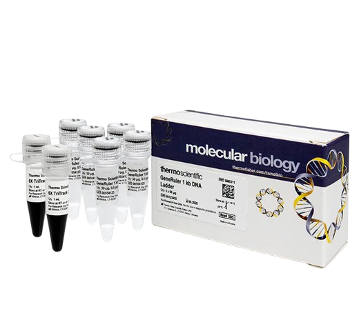 25359_Merch_P2_Product1