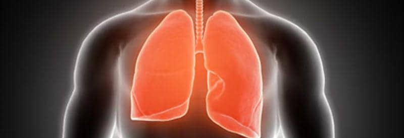 Robotic Cilia for Monitoring Airway Health