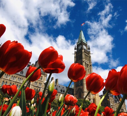 Government Resources