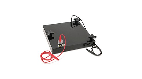 Western Blot Products