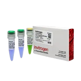 25359_Merch_P1_Product