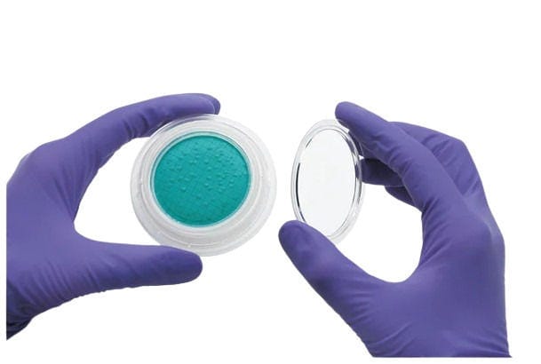 24975_Merch_P2_Product2