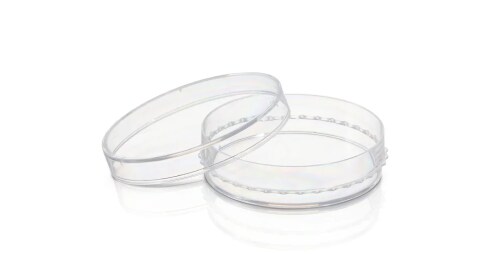 Shop Cell Culture Dishes