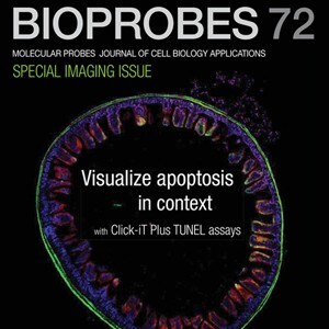 bioprobes bioprobes