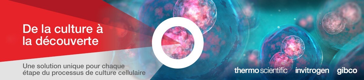 13818_Landing_Page_Banner_FR 13818_Landing_Page_Banner_FR