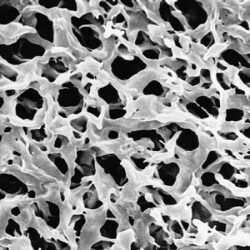 Merck Durapore Membrane Filters Merck Durapore Membrane Filters