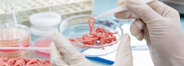 Meat grown in a Petri dish