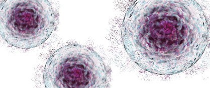 Les difficultés liées à l’équipement dans le cadre de la transition vers une production de masse dans les processus de thérapie cellulaire Les difficultés liées à l’équipement dans le cadre de la transition vers une production de masse dans les processus de thérapie cellulaire