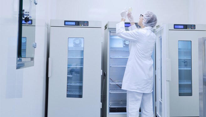 In Cold Storage In Cold Storage