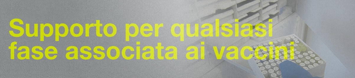 15622_Main_IT 15622_Main_IT