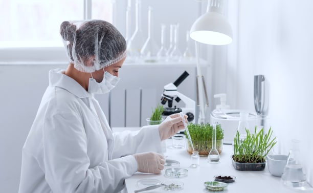 Scientist testing samples with a blender bag in her hand