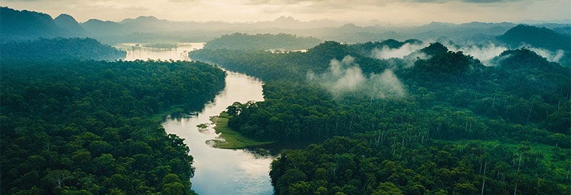 Amazon: The Heart of Mother Earth