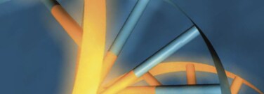 Nucleic Acid Synthesis Chemicals Nucleic Acid Synthesis Chemicals