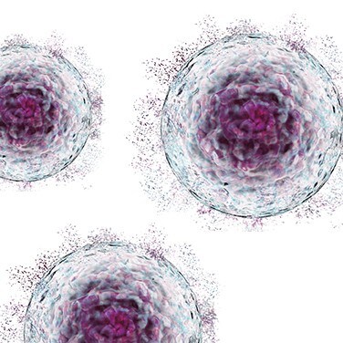 Scaling Up Cell Therapy Picture of a cell therapy
