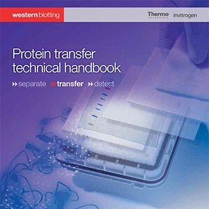 protein-transfer protein-transfer