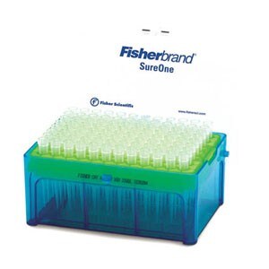 LSG_Essentials LSG_Essentials