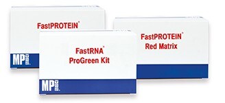 Purification Kits