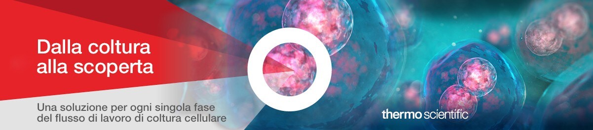 13818_Landing_Page_Banner_Res_IT 13818_Landing_Page_Banner_Res_IT