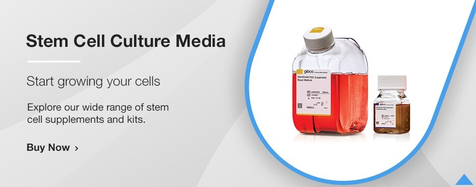 Stem Cell Culture Media