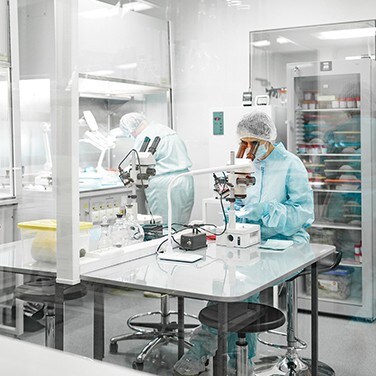 Scientists looking through a microscop Scientists looking through a microscrop