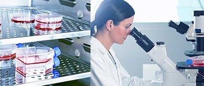 The Many Realms in Which CO2 Chambers Show Their Strengths The Many Realms in Which CO2 Chambers Show Their Strengths