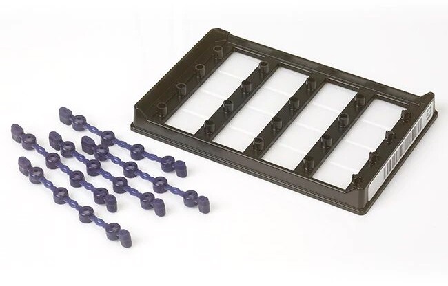 Applied Biosystems™ QuantStudio™ Absolute Q™ MAP16 Plates Applied Biosystems™ QuantStudio™ Absolute Q™ MAP16 Plates